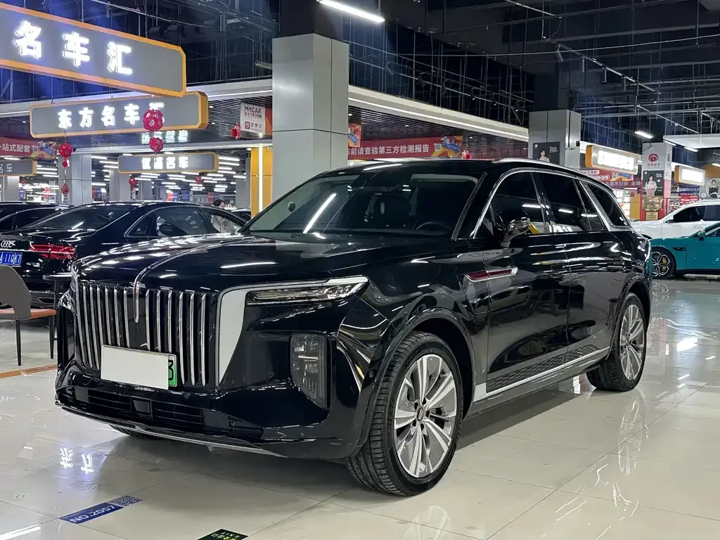 Hongqi E-HS9 2023 из CN, фото 1