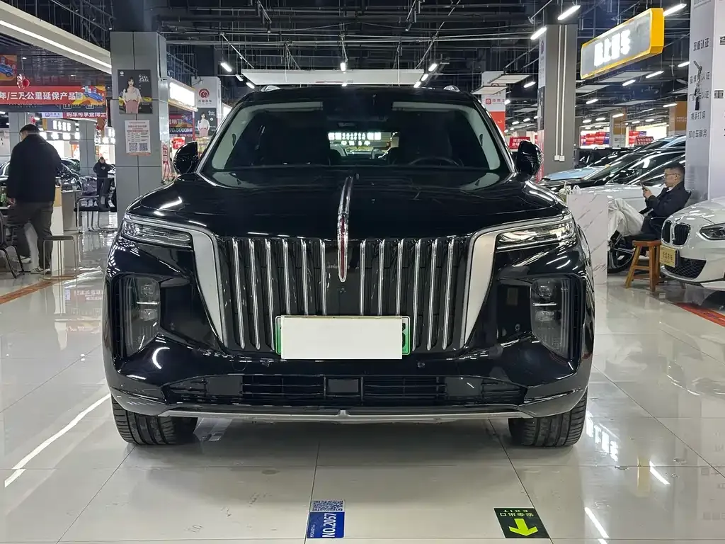 Hongqi E-HS9 2023 из CN, фото 6