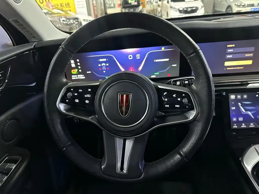 Hongqi E-HS9 2023 из CN, фото 4