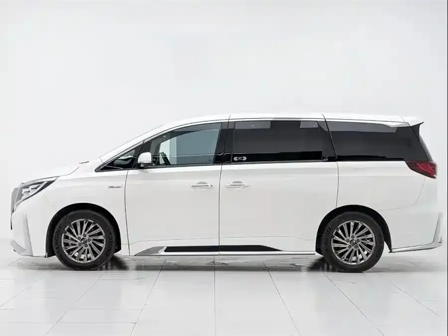 GAC Motor Trumpchi M8 2021 из CN, фото 4