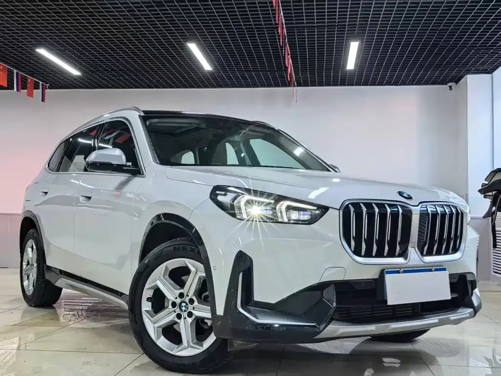 BMW X1 — фото 10