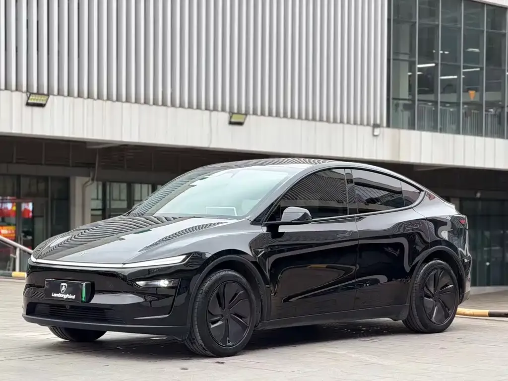 Tesla Model Y 2025 из CN, фото 1