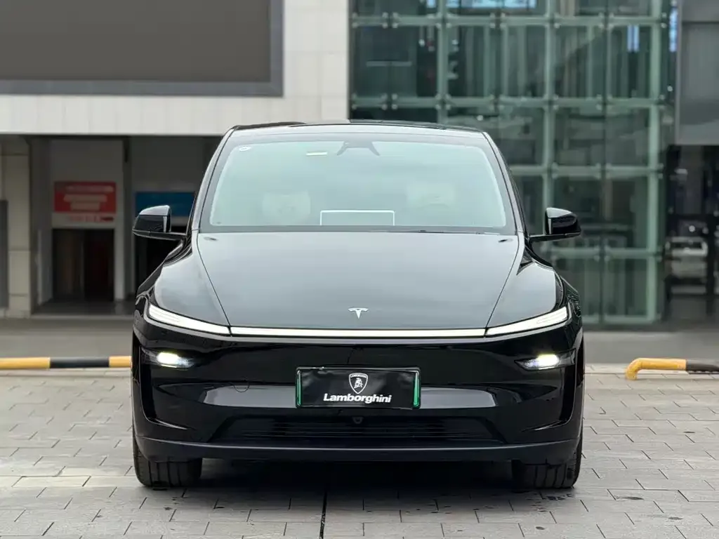 Tesla Model Y 2025 из CN, фото 5