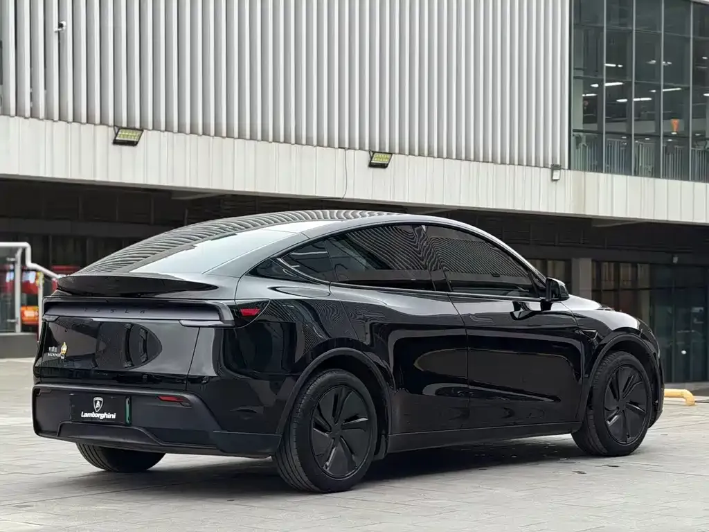 Tesla Model Y 2025 из CN, фото 9