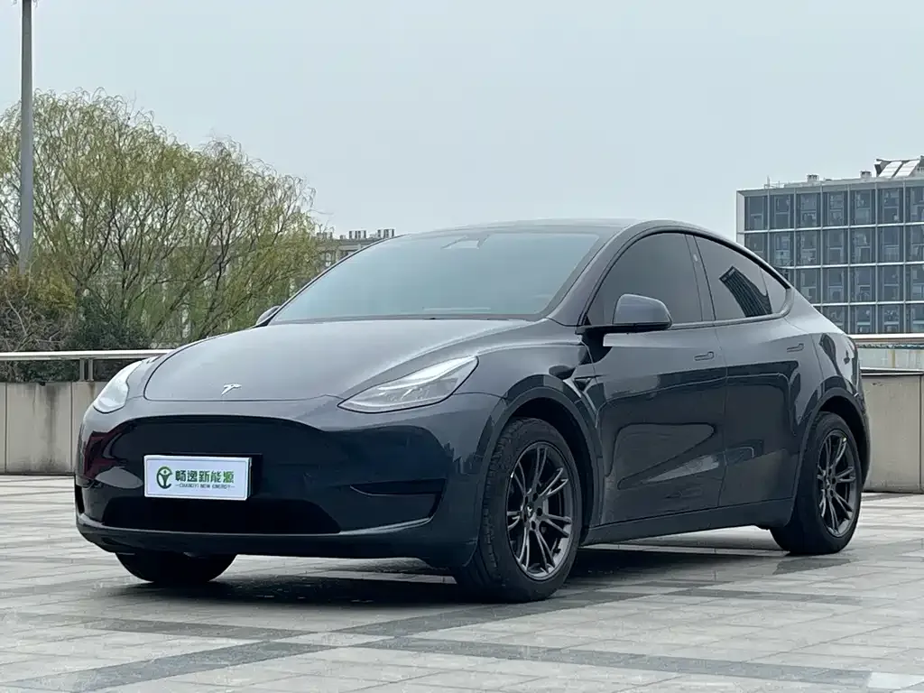 Tesla Model Y 2024 из CN, фото 1