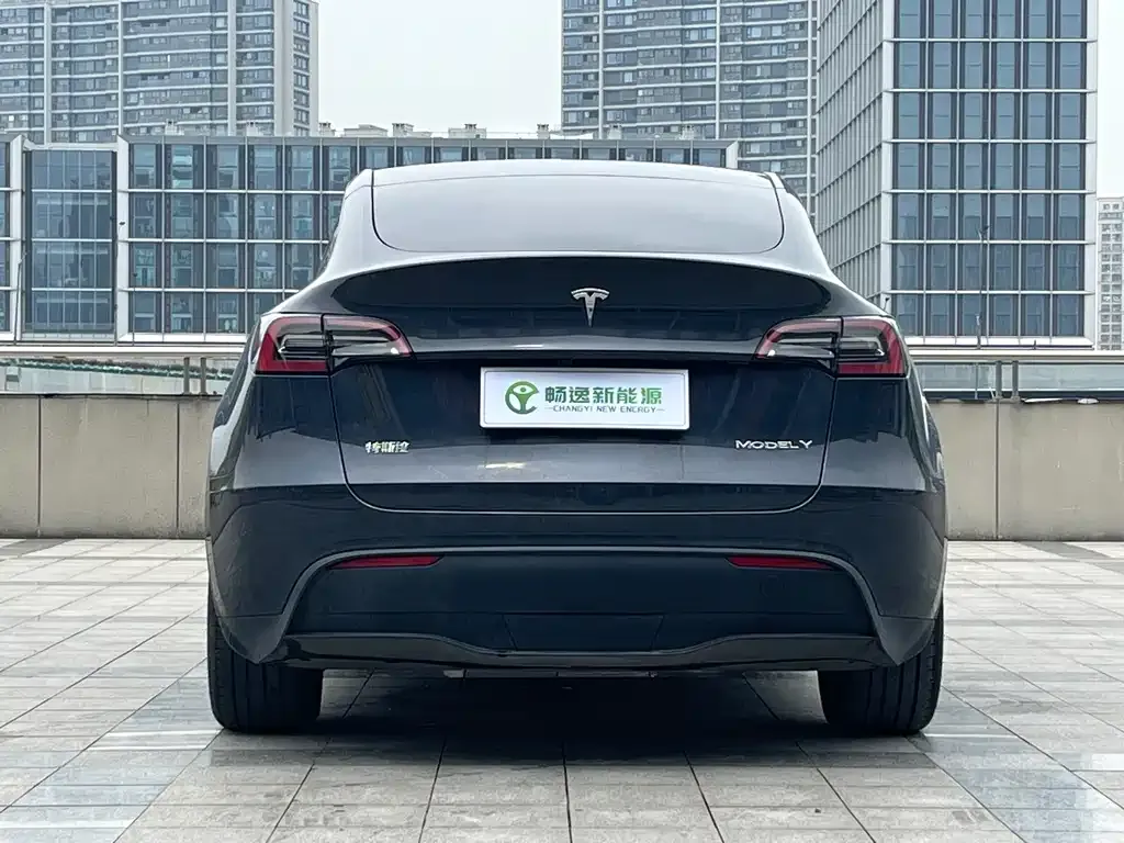Tesla Model Y 2024 из CN, фото 7