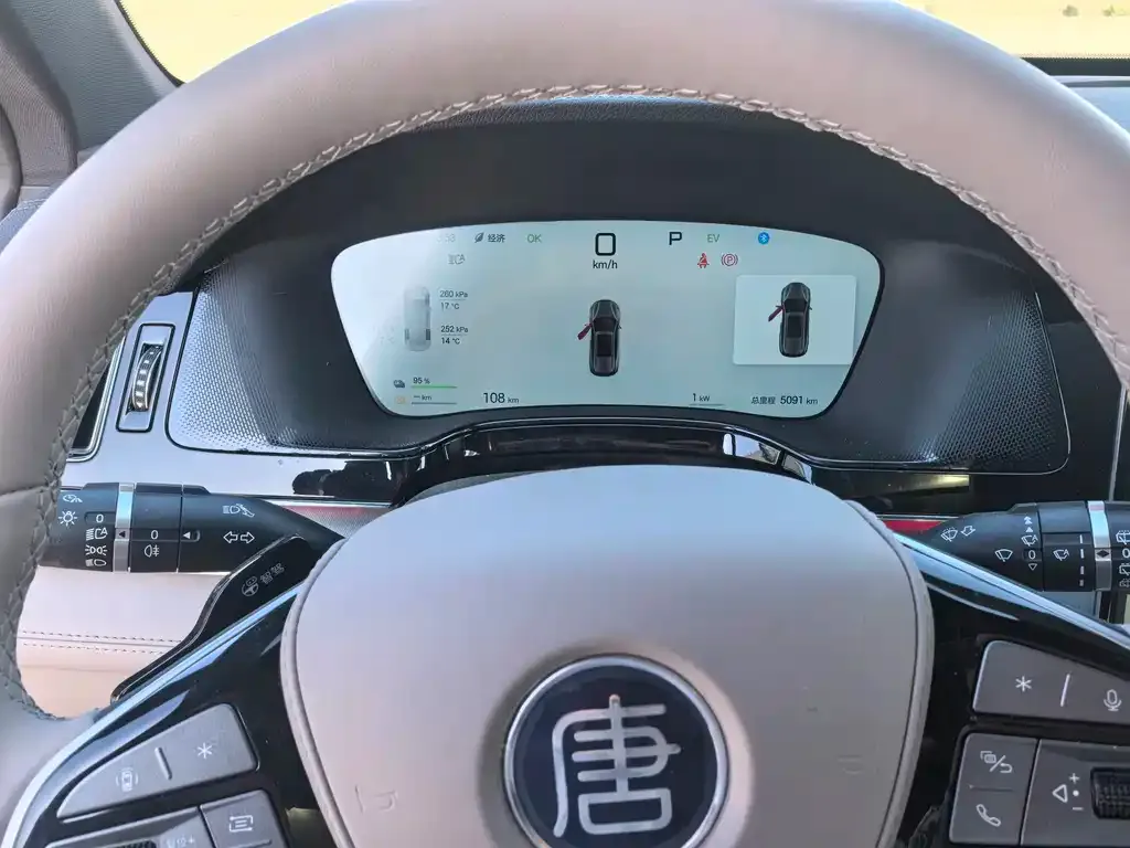 BYD Tang New Energy 2025 из CN, фото 10