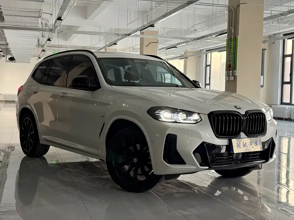 BMW X3 2024 из CN, фото 10