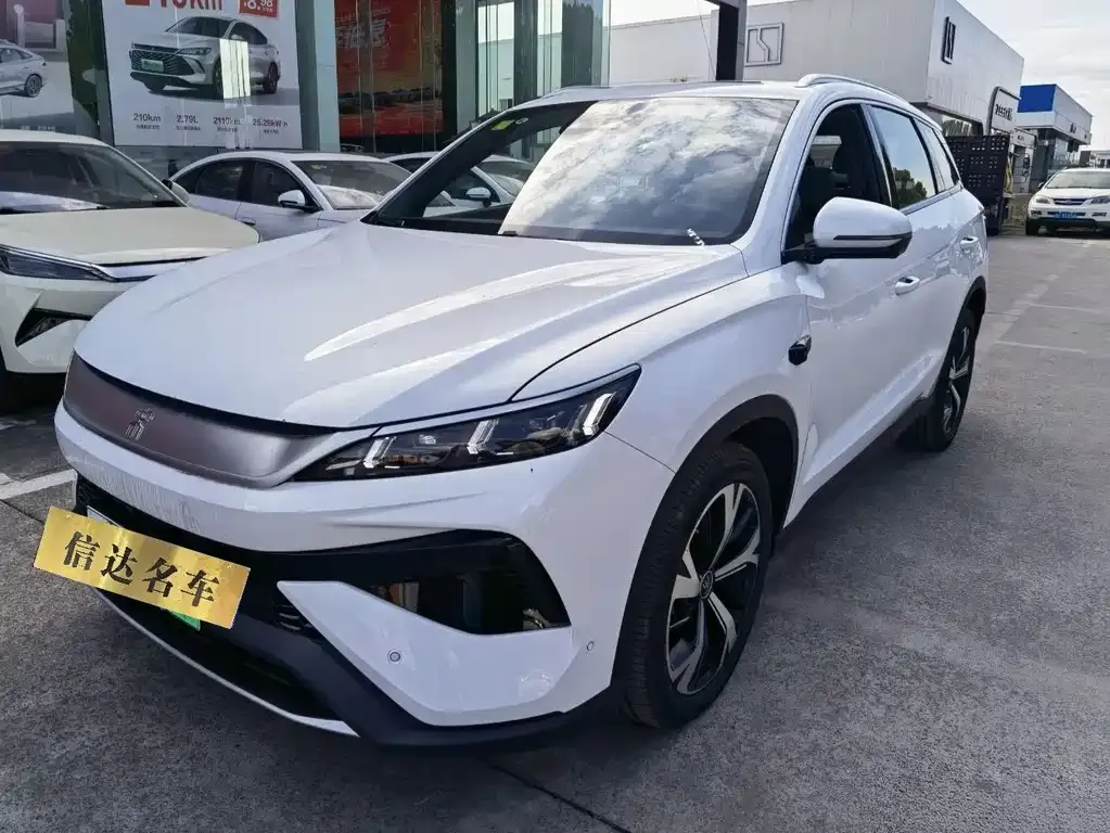 BYD Pro New Energy 2025 из CN, фото 1
