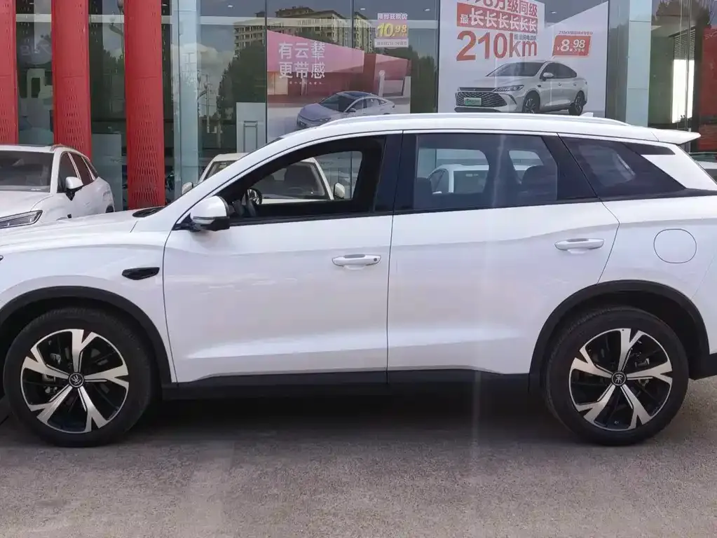 BYD Pro New Energy 2025 из CN, фото 4