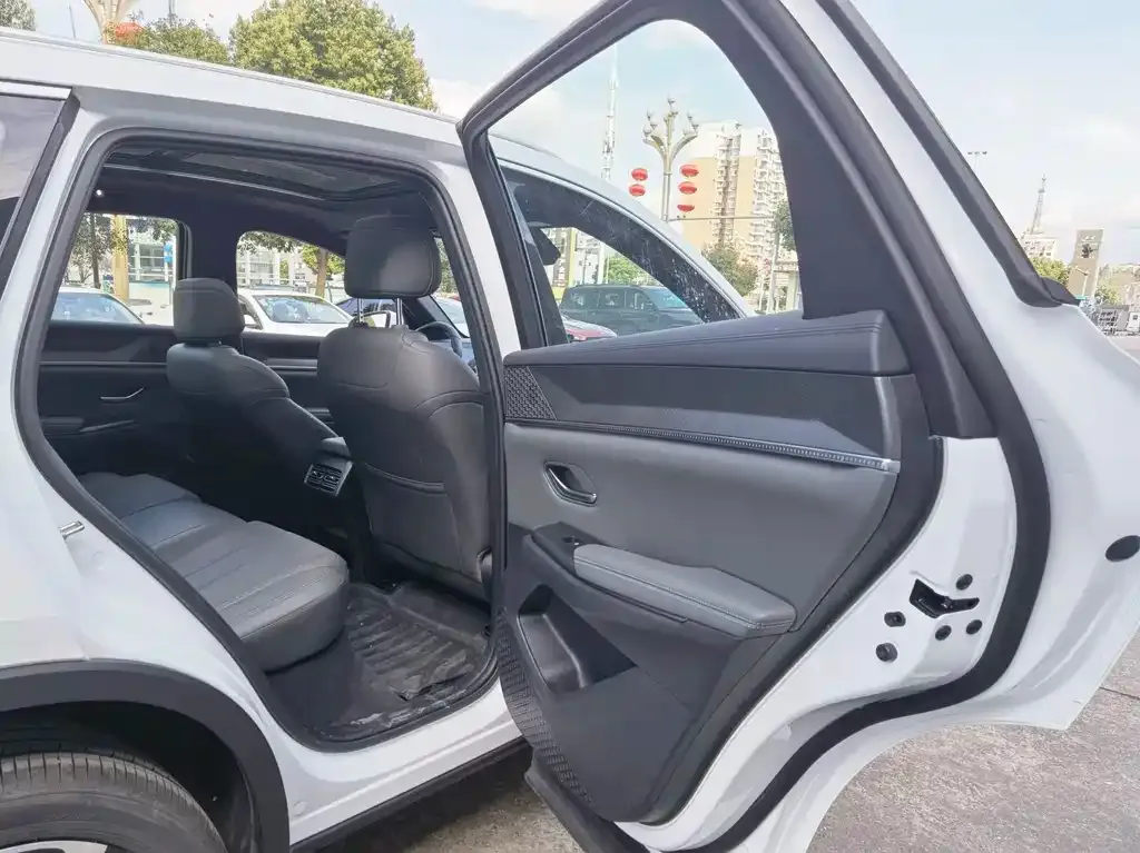 BYD Pro New Energy 2025 из CN, фото 2