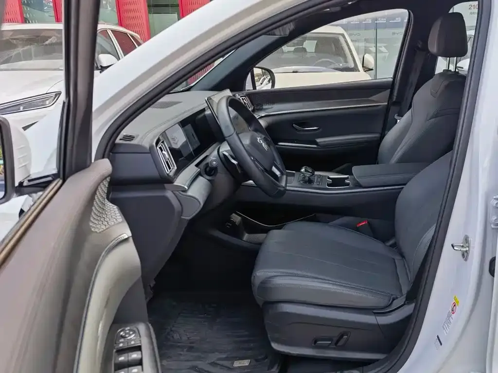 BYD Pro New Energy 2025 из CN, фото 5
