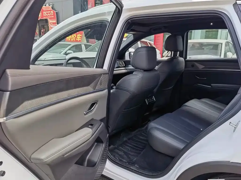 BYD Pro New Energy 2025 из CN, фото 3