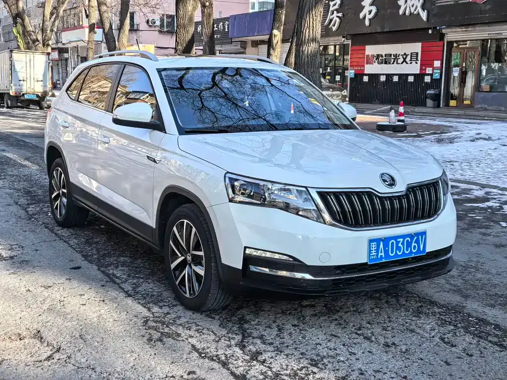 Skoda Kamiq 2022 из CN, фото 4