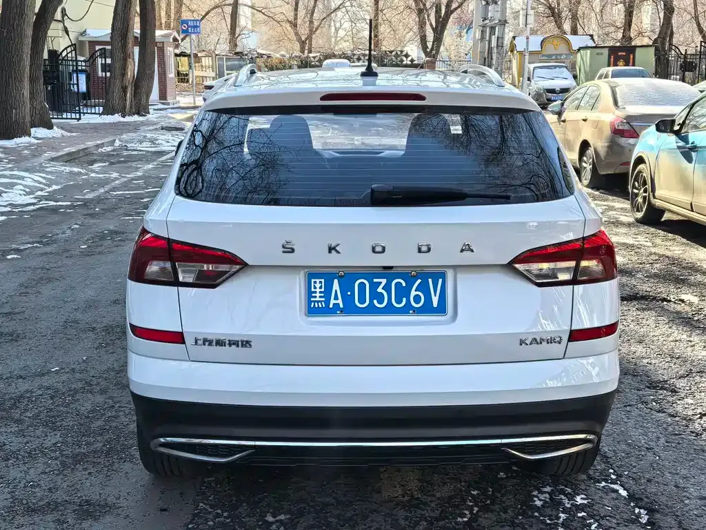 Skoda Kamiq 2022 из CN, фото 8