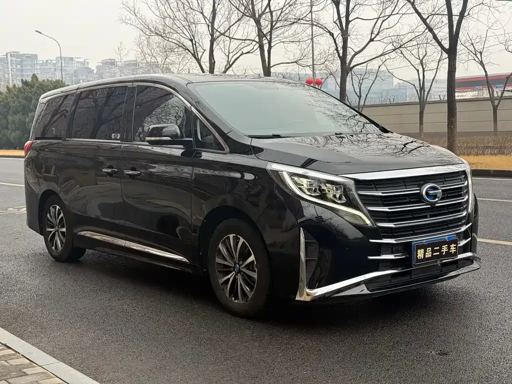 GAC Motor Trumpchi M8 2022 из CN, фото 3