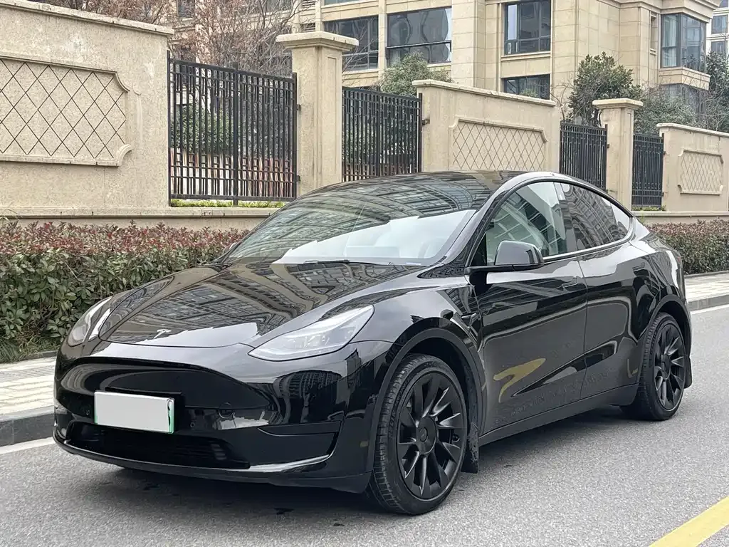 Tesla Model Y 2023 из CN, фото 1