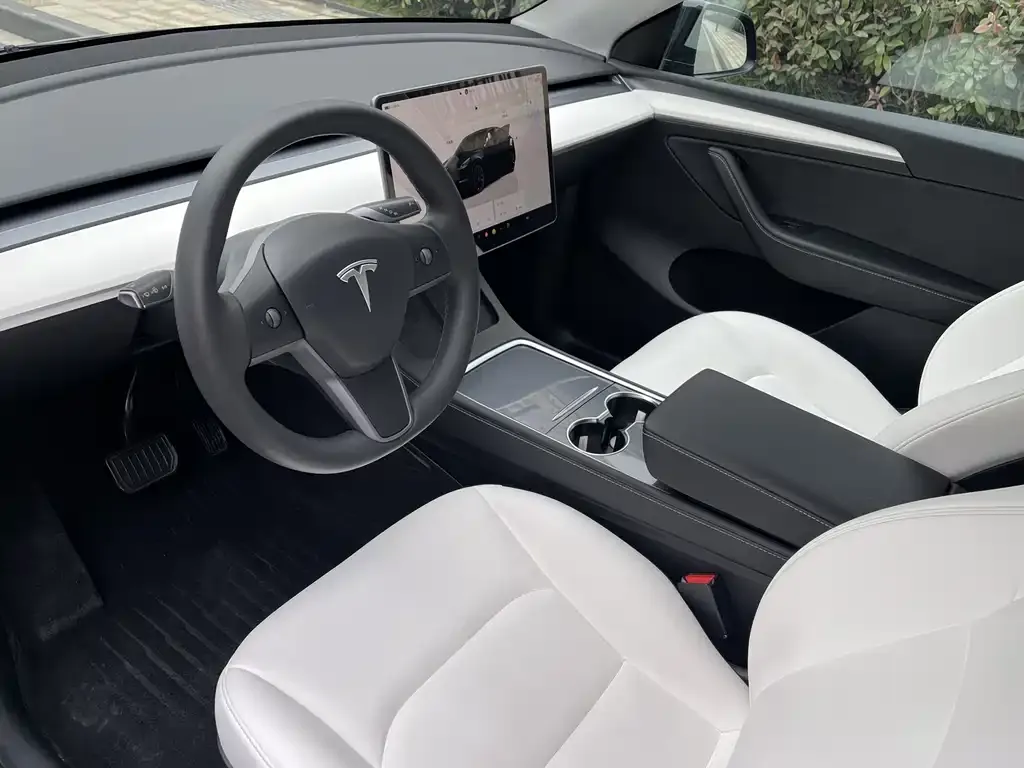 Tesla Model Y 2023 из CN, фото 2