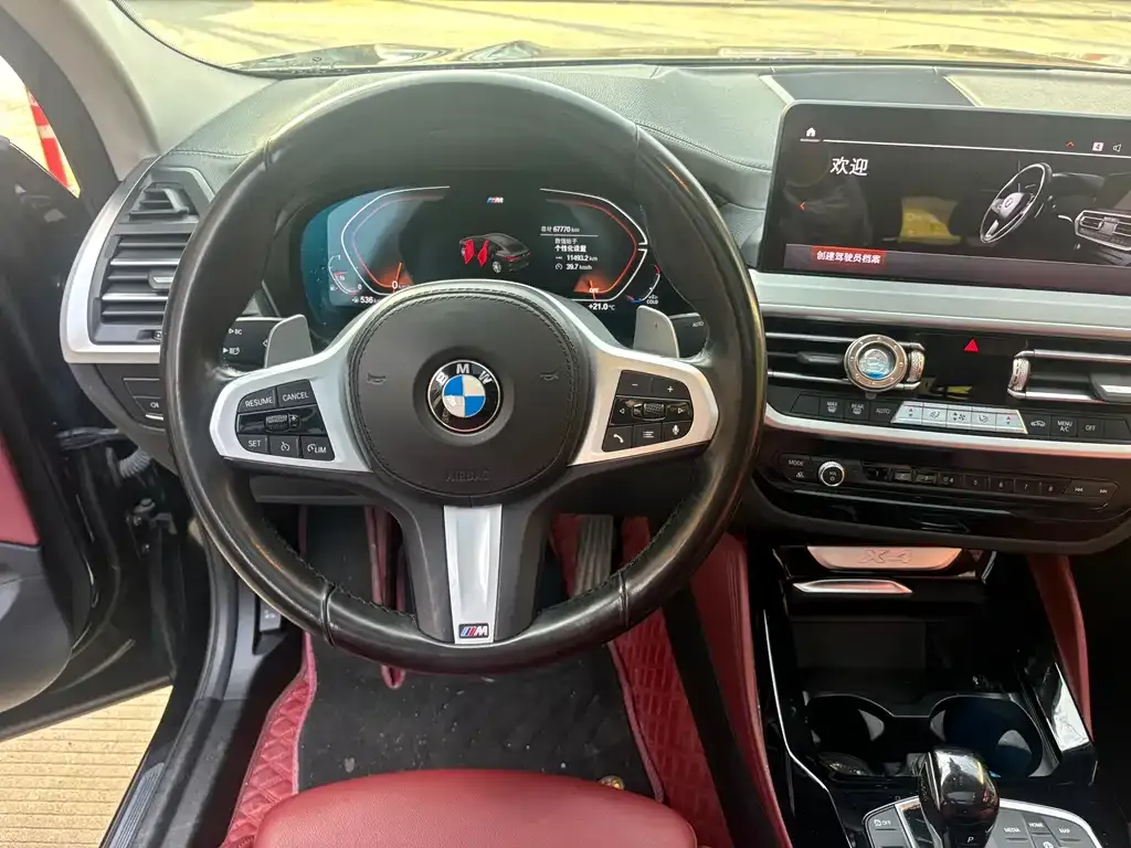 BMW X4 2021 из CN, фото 8
