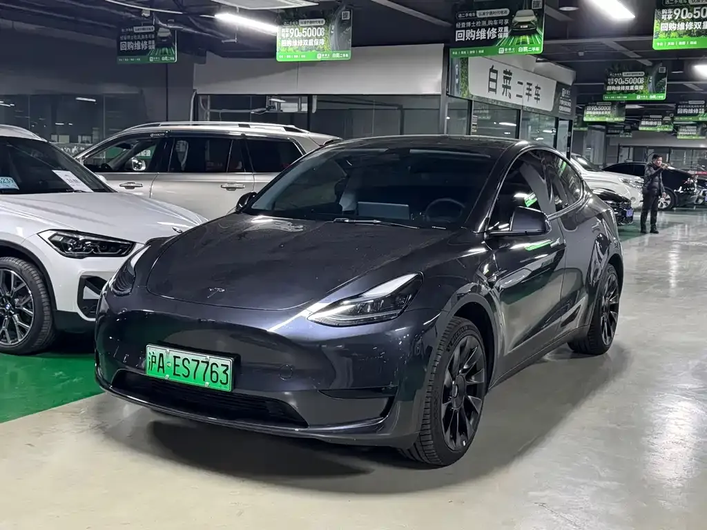 Tesla Model Y — фото 1