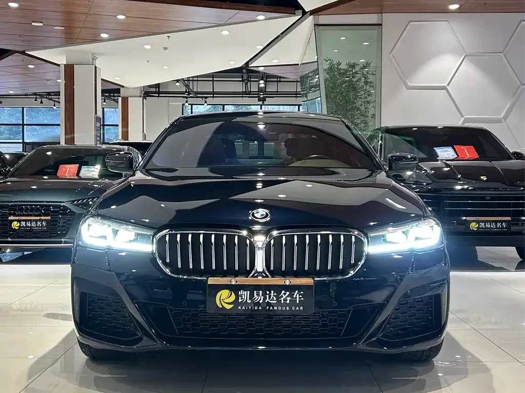 BMW 5 Series 2024 из CN, фото 5