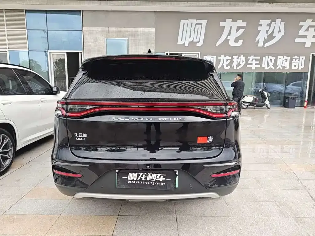 BYD Tang New Energy — фото 9