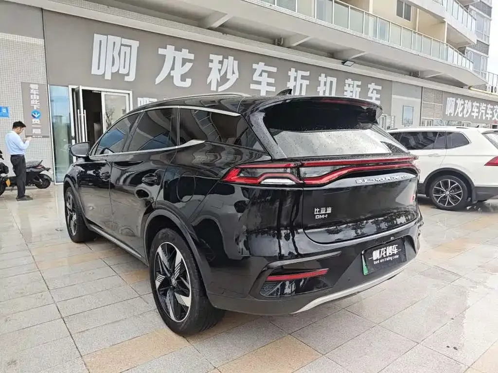 BYD Tang New Energy — фото 4