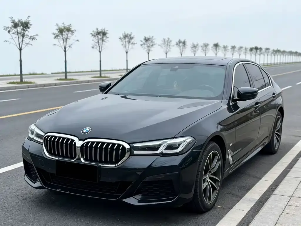 BMW 5 Series 2022 из CN, фото 1