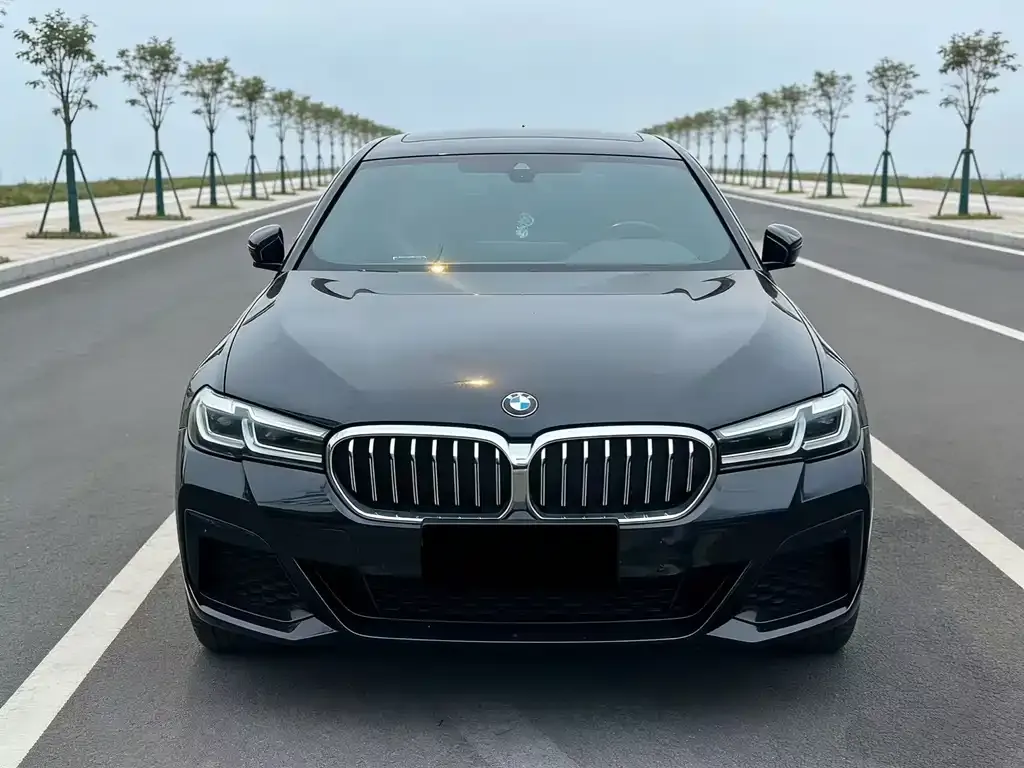 BMW 5 Series 2022 из CN, фото 5