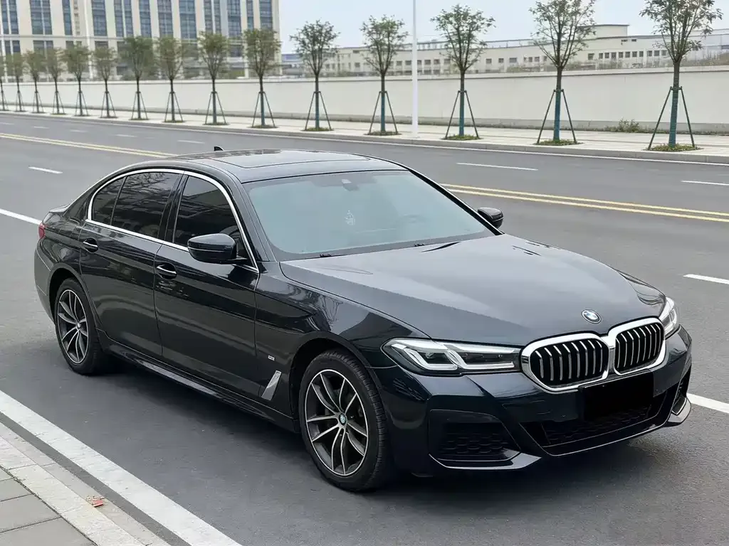 BMW 5 Series 2022 из CN, фото 7