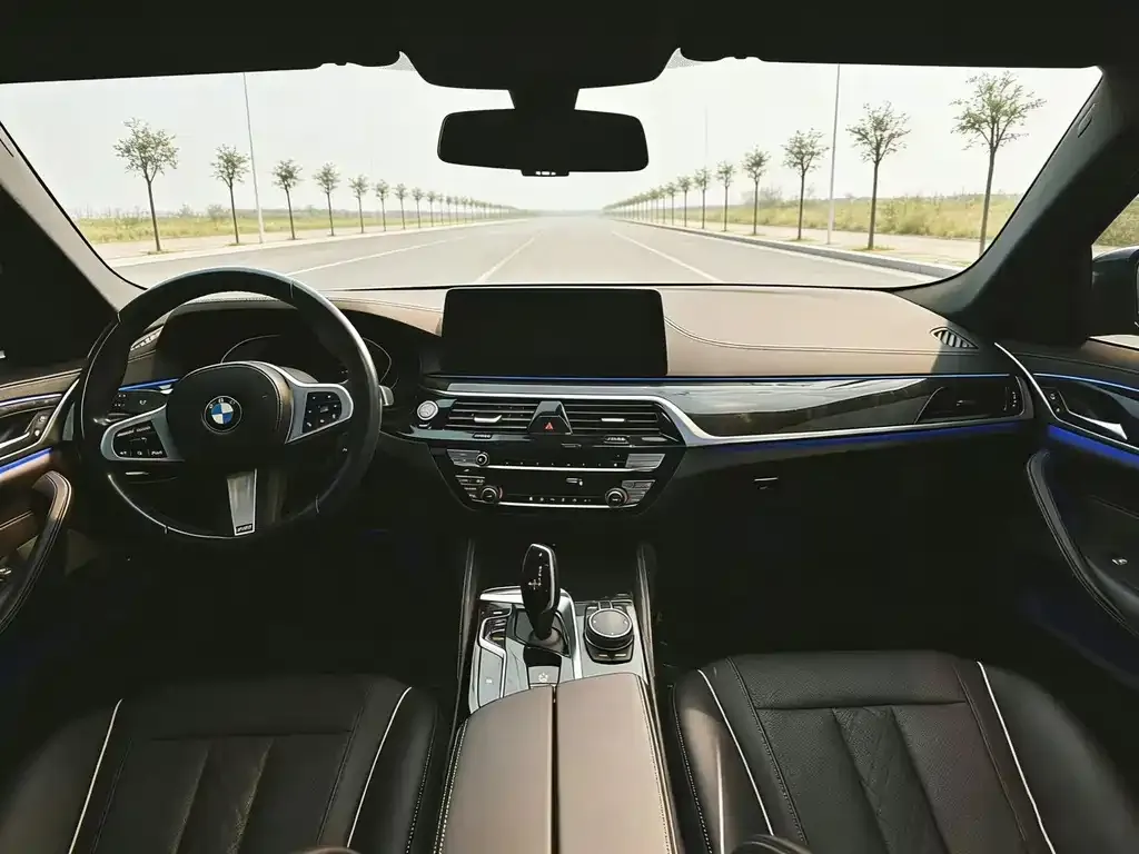BMW 5 Series 2022 из CN, фото 8
