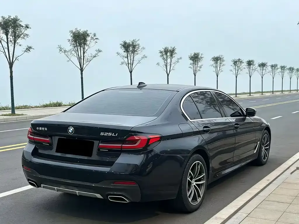 BMW 5 Series 2022 из CN, фото 9