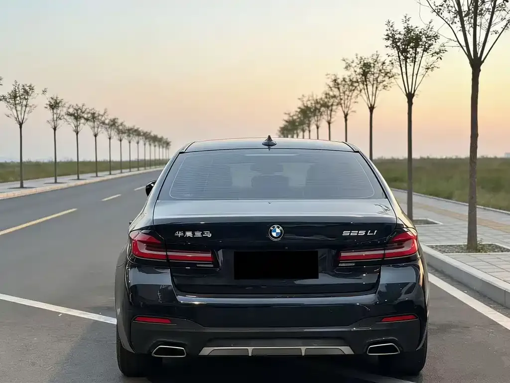 BMW 5 Series 2022 из CN, фото 6