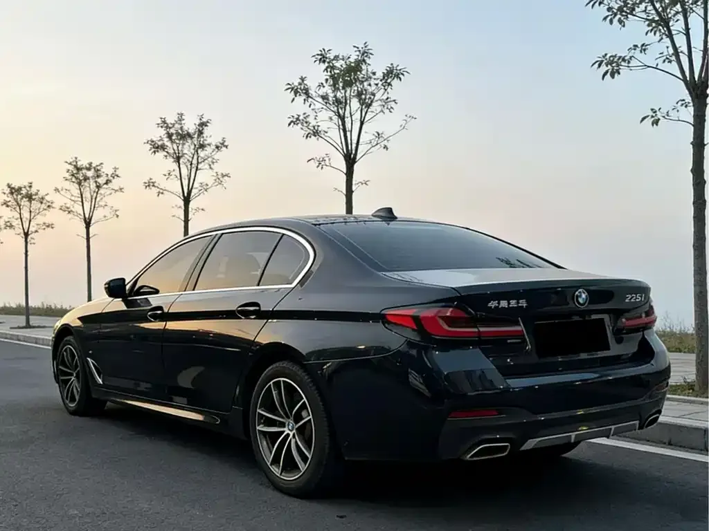 BMW 5 Series 2022 из CN, фото 4