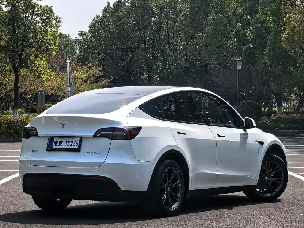 Tesla Model Y — фото 7