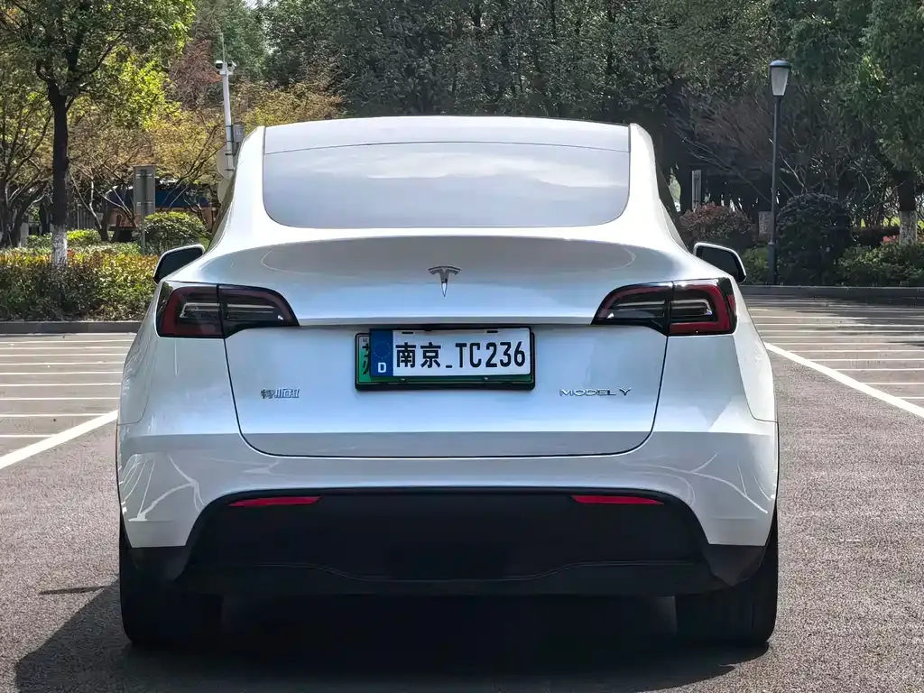 Tesla Model Y — фото 6