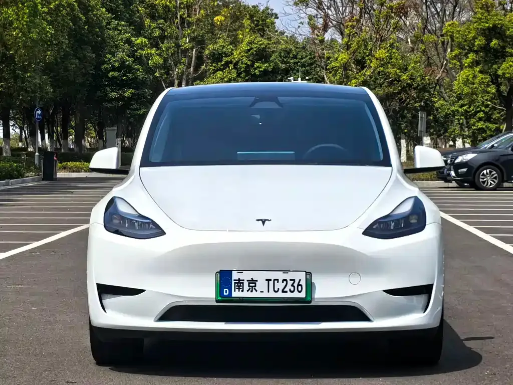 Tesla Model Y — фото 5