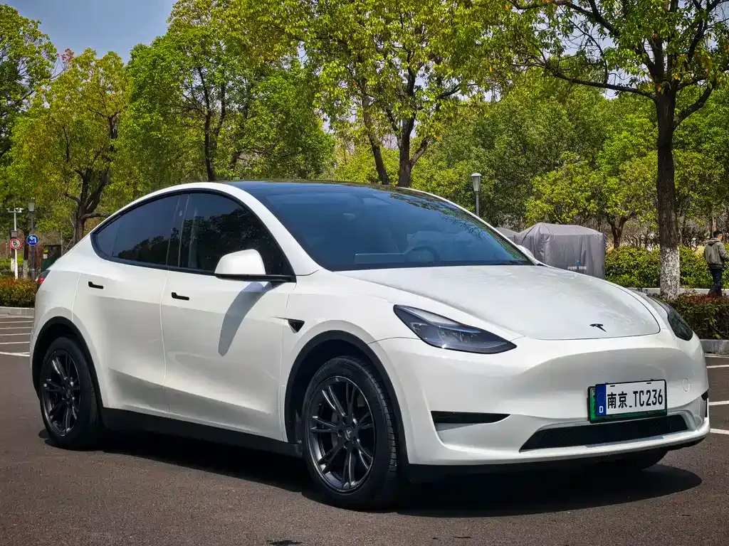 Tesla Model Y — фото 10