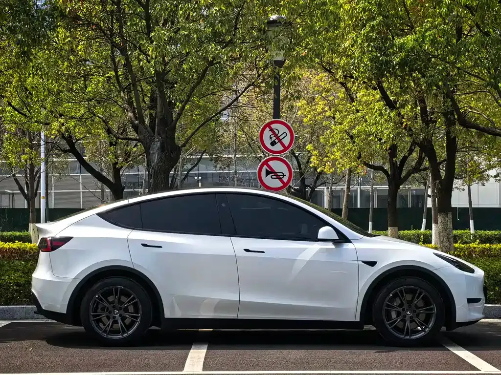 Tesla Model Y — фото 8