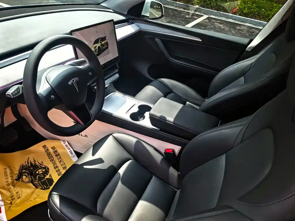 Tesla Model Y — фото 9