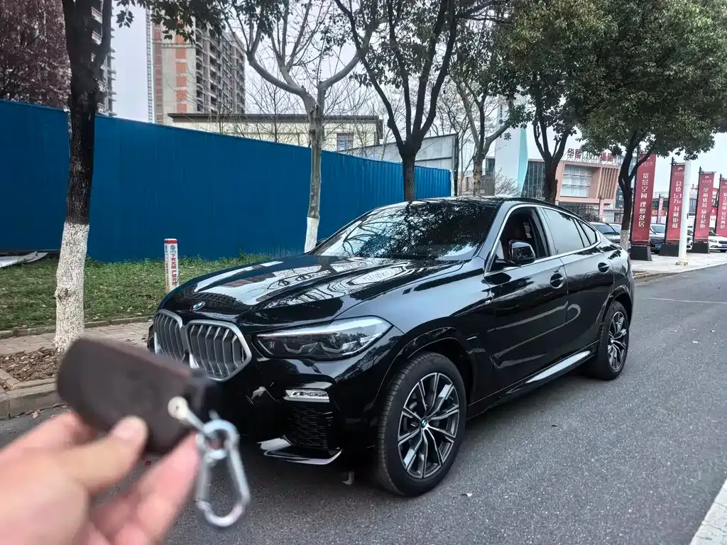 BMW X6 2021 из CN, фото 6