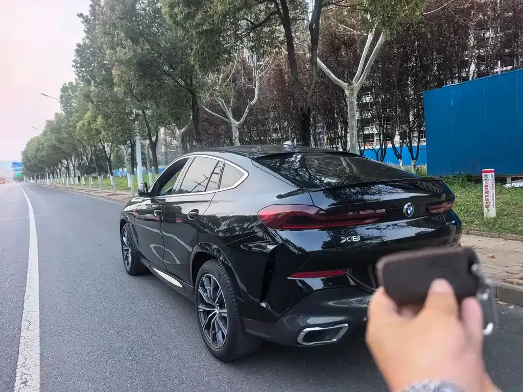 BMW X6 2021 из CN, фото 2