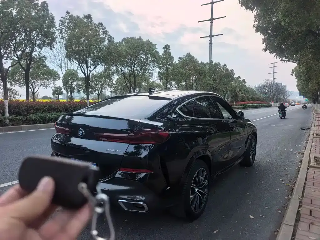 BMW X6 2021 из CN, фото 4