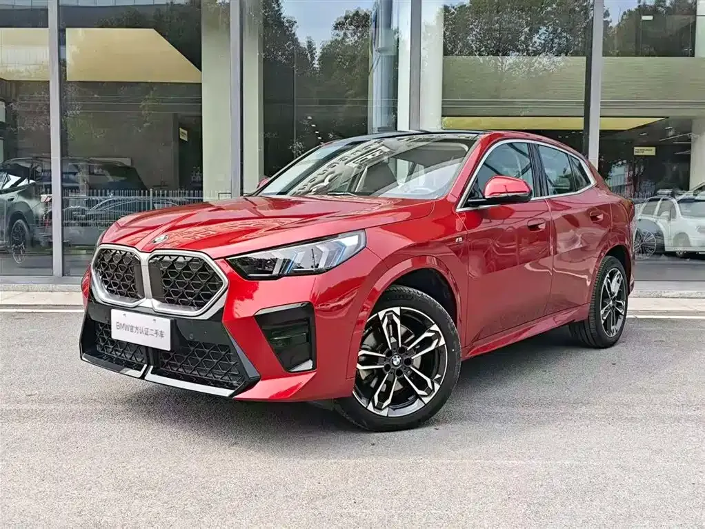 BMW X2 (Import) 2025 из CN, фото 3