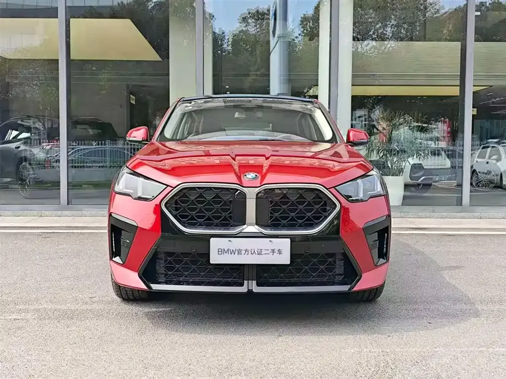 BMW X2 (Import) 2025 из CN, фото 7
