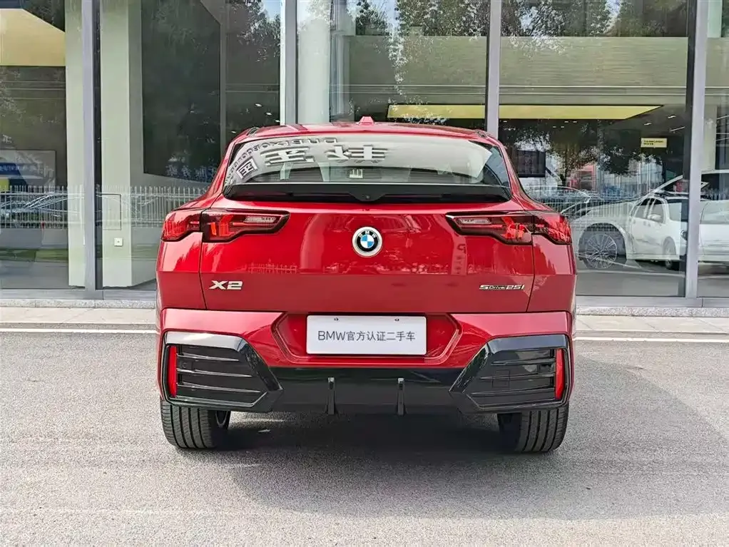BMW X2 (Import) 2025 из CN, фото 8