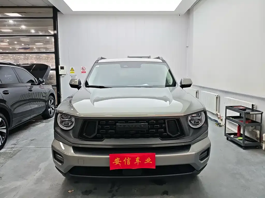 Haval H7 (Big Dog Plus) 2025 из CN, фото 8
