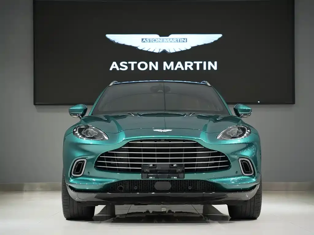 Aston Martin DBX 2023 из CN, фото 6