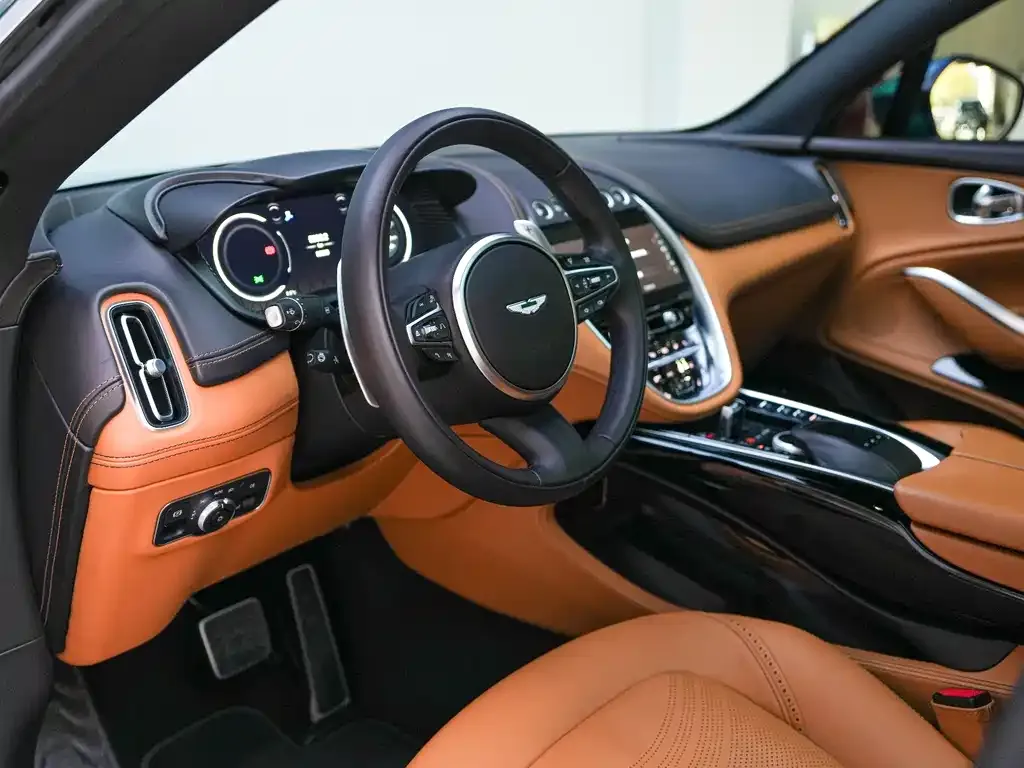 Aston Martin DBX 2023 из CN, фото 7