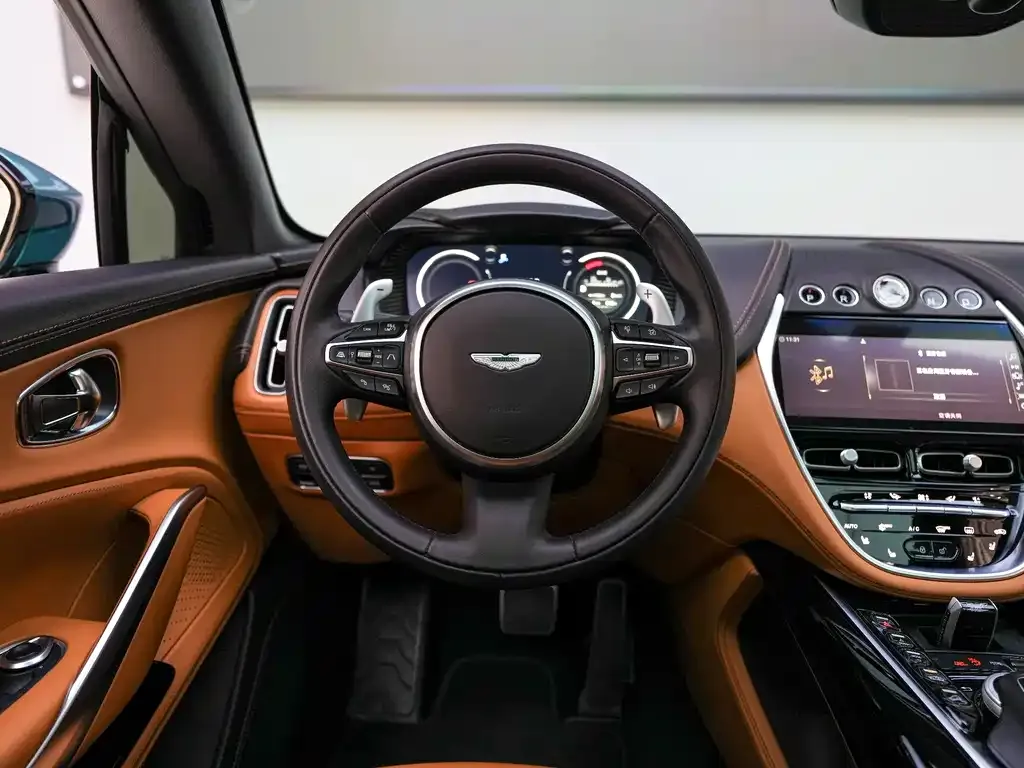 Aston Martin DBX 2023 из CN, фото 5
